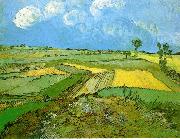 Vincent Van Gogh Wheat Fields at Auvers Under Clouded Sky Spain oil painting artist